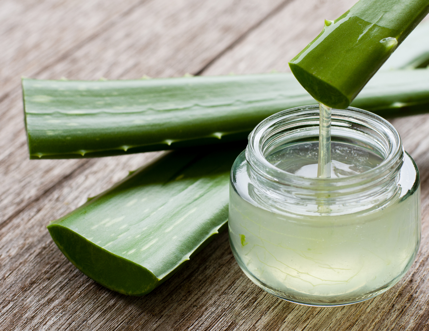 Aloe Vera